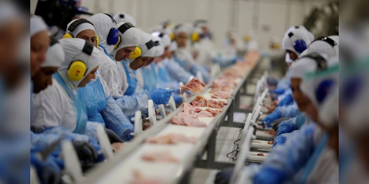 Arábia suspende compra de carne de ave de 11 frigoríficos do Brasil