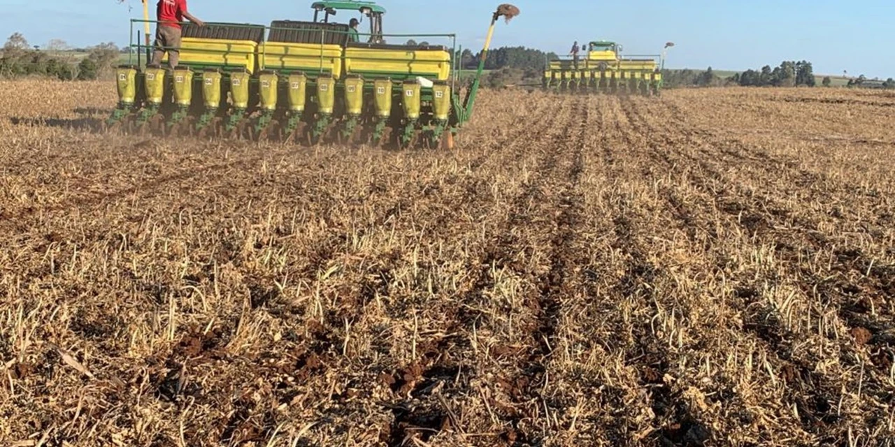 Vazio Sanitário: prazo para colheita da soja termina neste sábado, 15 de maio