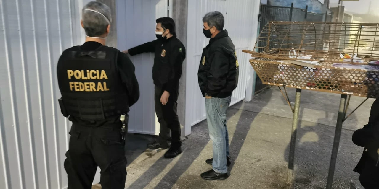 Polícia Federal deflagra operação de combate à fraude eleitoral no Paraná