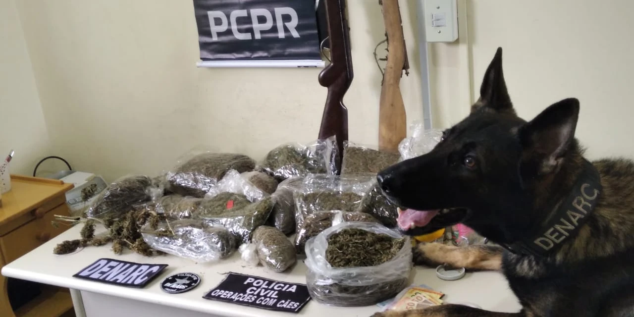Vídeo: Polícia Civil prende 12 integrantes de organização criminosa nos Campos Gerais