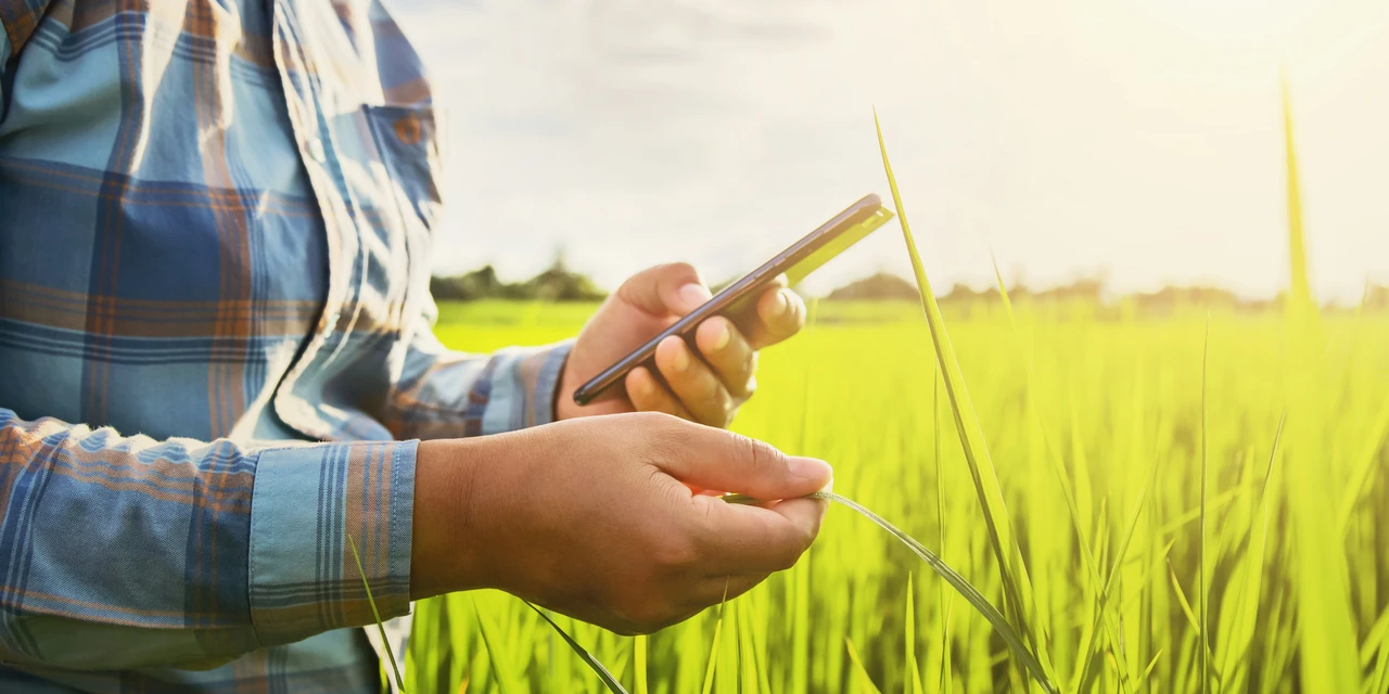 Artigo: Cooperação e conhecimento, uma forma de aproximar o produtor rural das inovações digitais, por Anderson Soares Pivotto