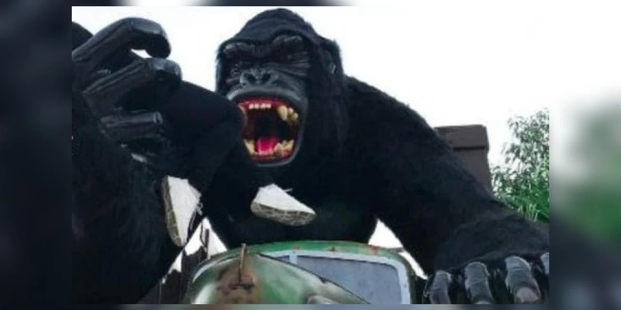 Criança de 6 anos tem traumatismo craniano após cair de atração no Beto Carrero World