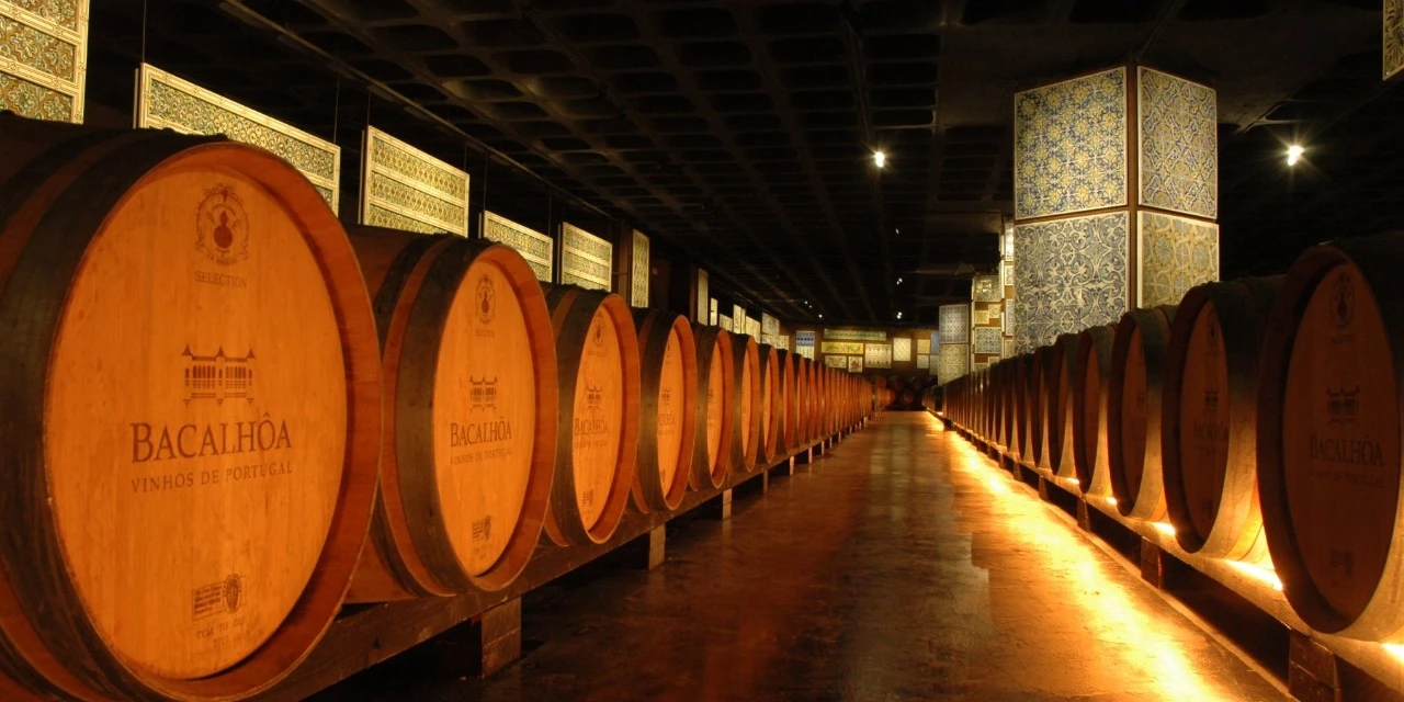 Vinhos & Viagens: O vinho português que homenageia a rainha Catarina é elaborado na Península de Setúbal