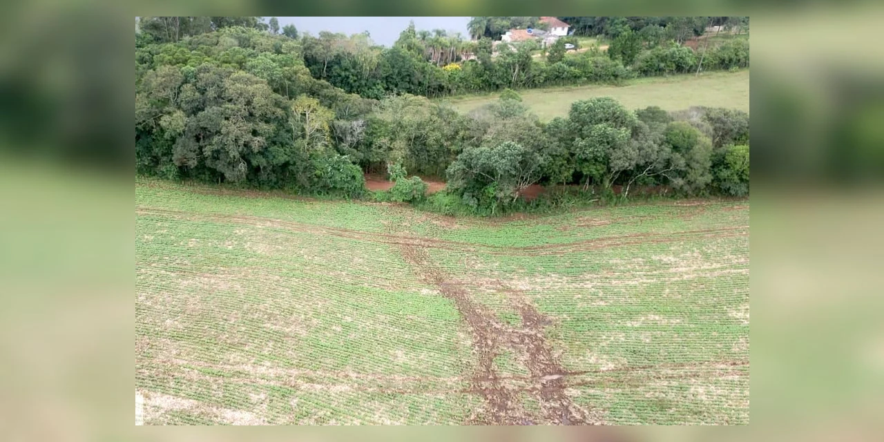 IAT identifica atividade irregular em área de preservação permanente em Ponta Grossa