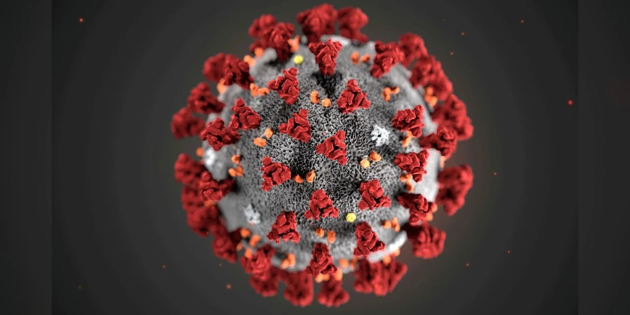 COVID-19: Pesquisa sugere que variante Delta pode causar mais reinfecções