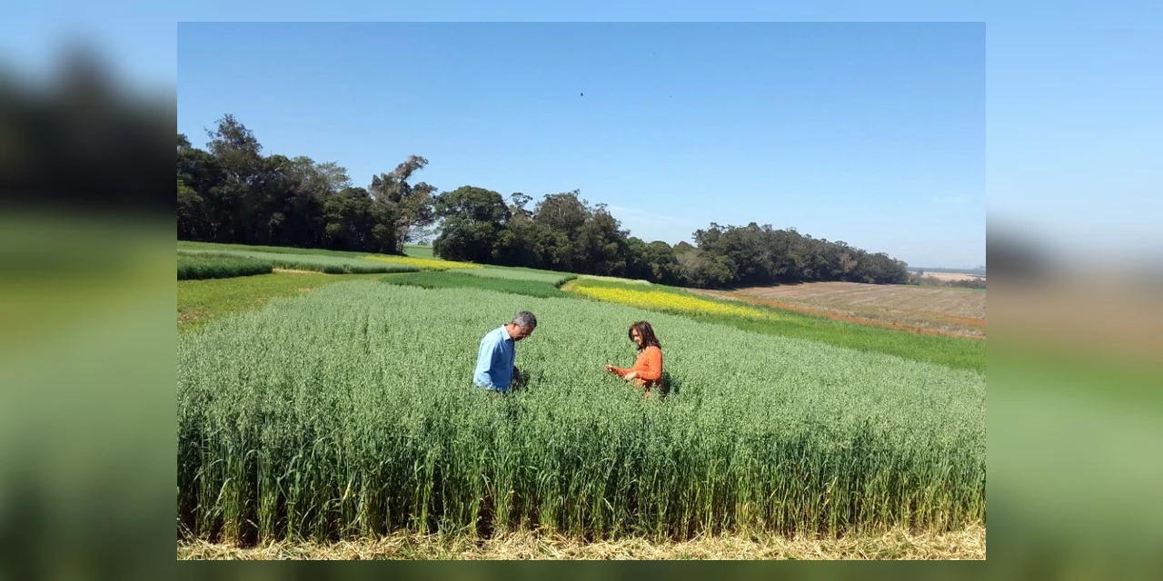 Pesquisa ajuda o Paraná a ser referência nacional no agronegócio