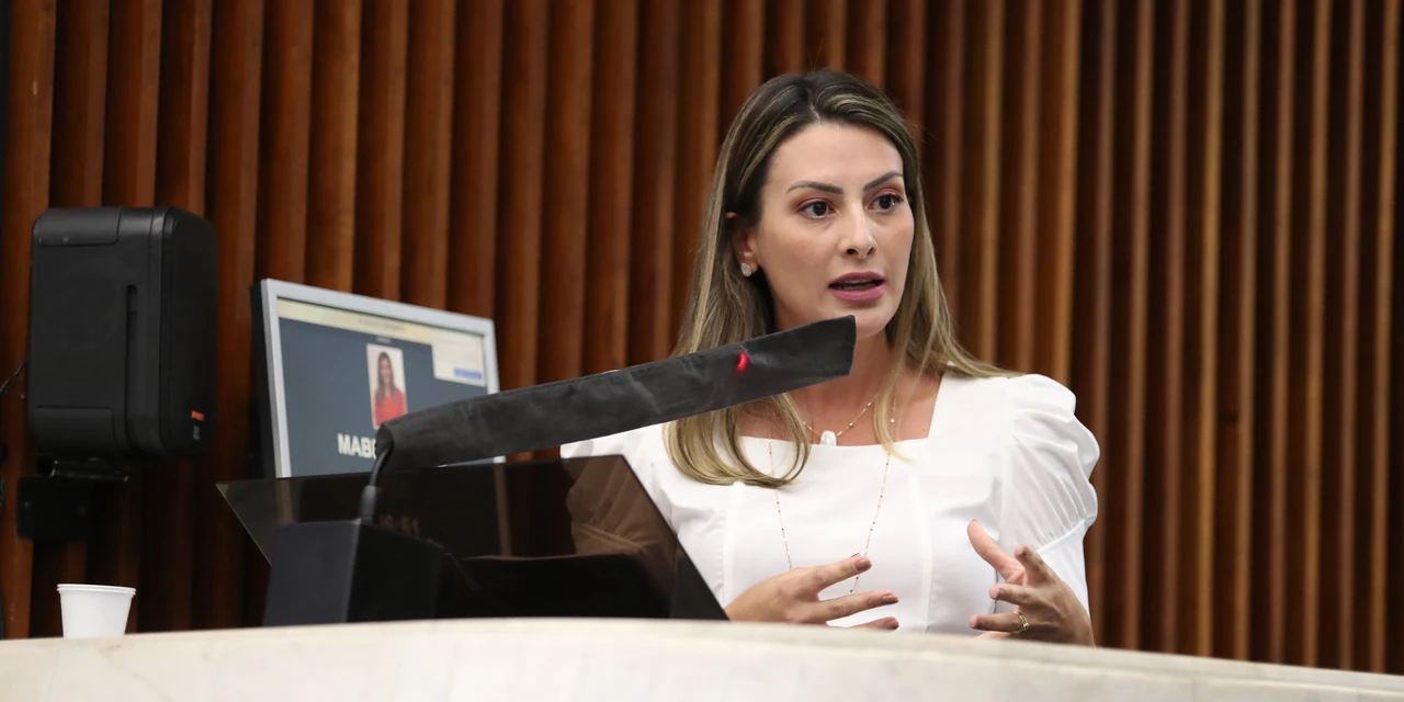 Deputada Mabel sugere a criação de auxílio a familiares de vítimas da COVID-19