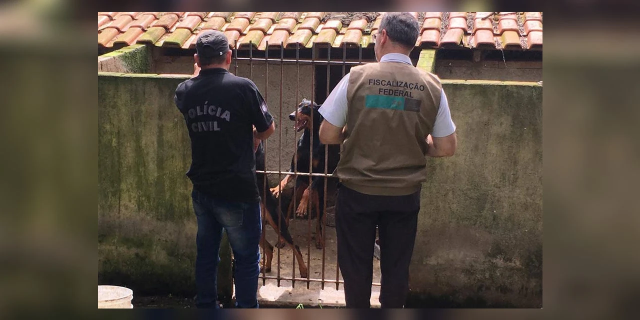 Paraná registra aumento de denúncias de maus-tratos contra animais domésticos em 2021