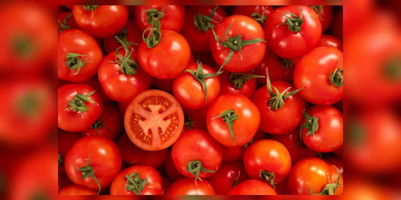 Tomate fica 34,55% mais caro e cesta básica chega a R$ 670 em Ponta Grossa