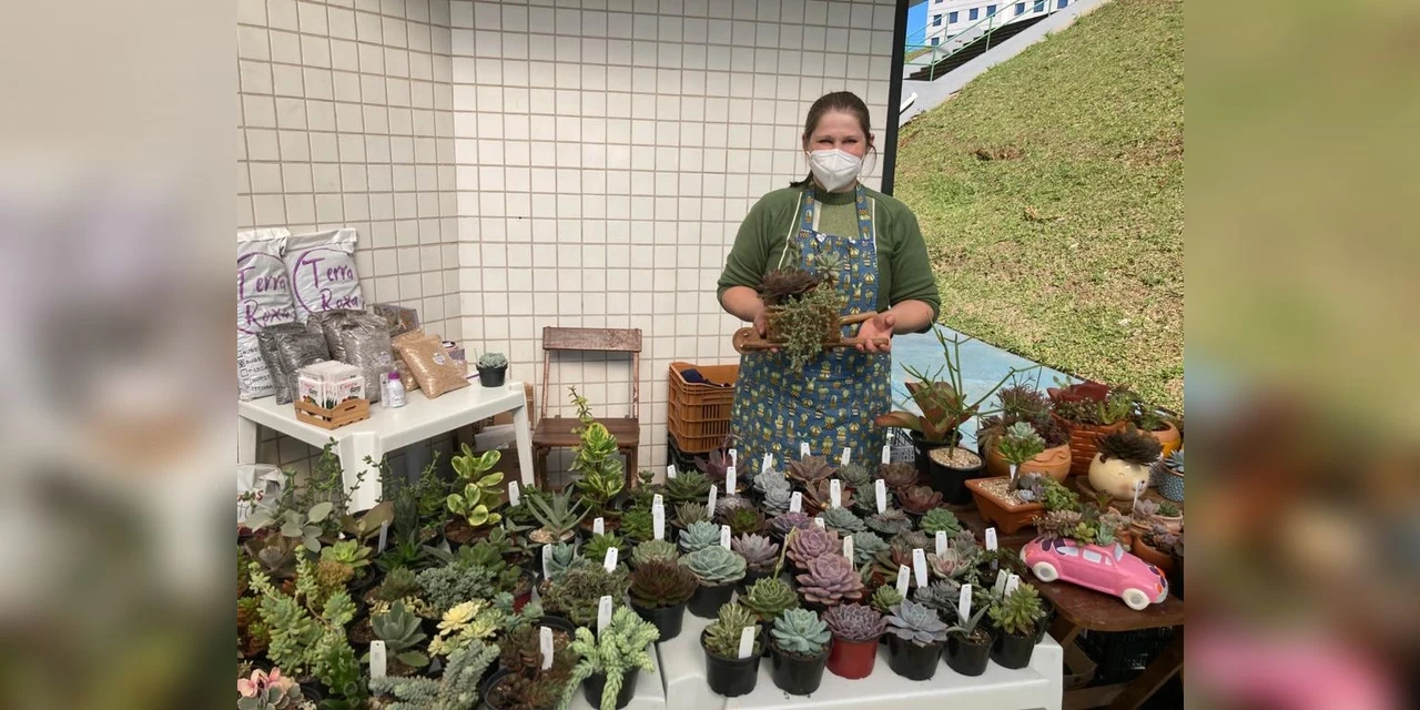 Feira Julina de suculentas acontece neste sábado (10) até 17h