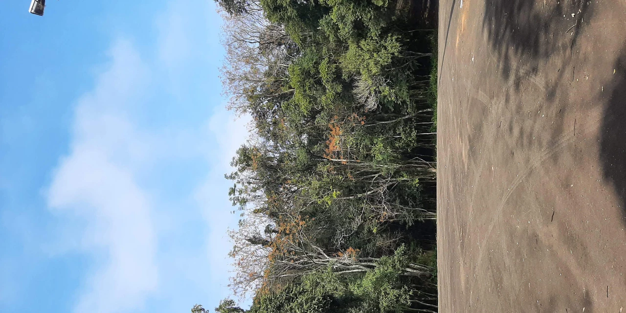 Parque Margherita Masini vai sediar nova Secretaria de Meio Ambiente e deve receber revitalização completa