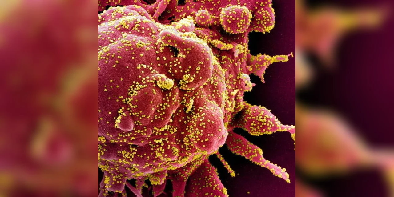 Anvisa analisa uso emergencial de mais um remédio contra COVID