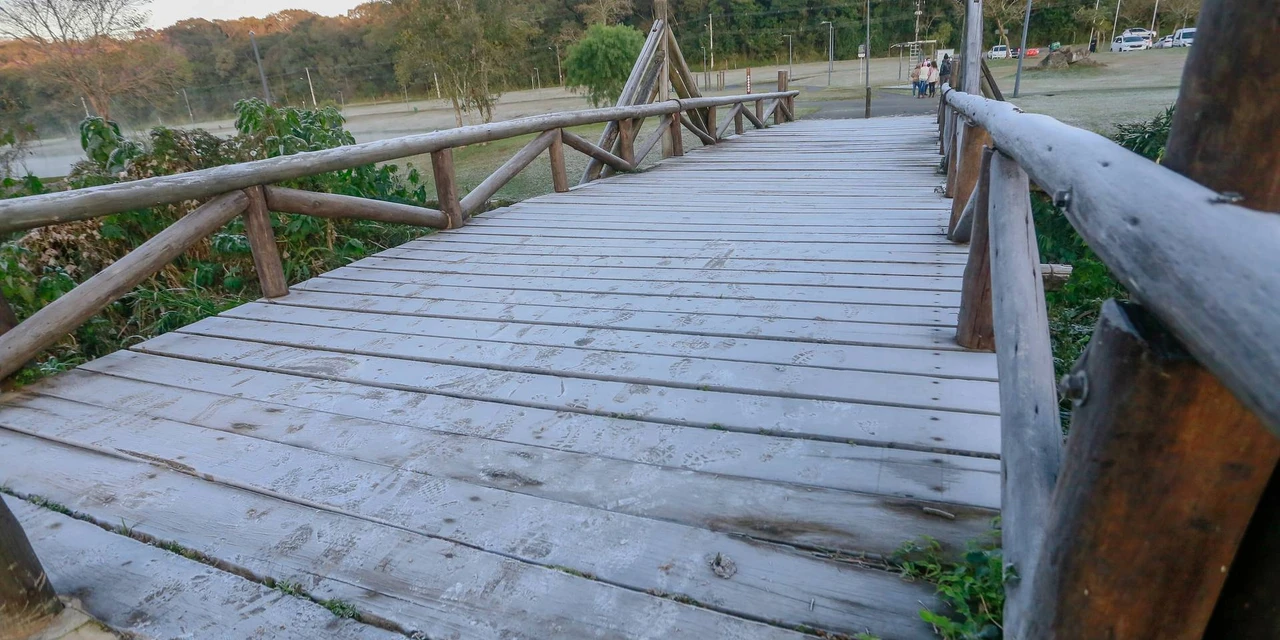 Governo do PR se mobiliza para amenizar efeitos da massa de ar polar prevista para a Região Sul