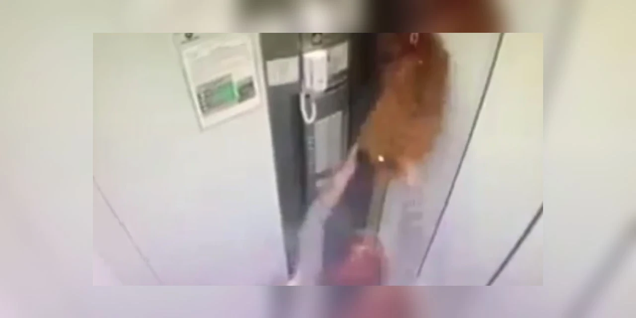 Vídeo: cachorro fica preso em porta de elevador e acaba pendurado pela coleira