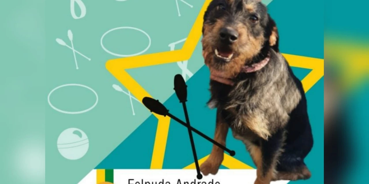 'OlimpíAUdas': CRAR promove campanha especial para adoção de cães em PG