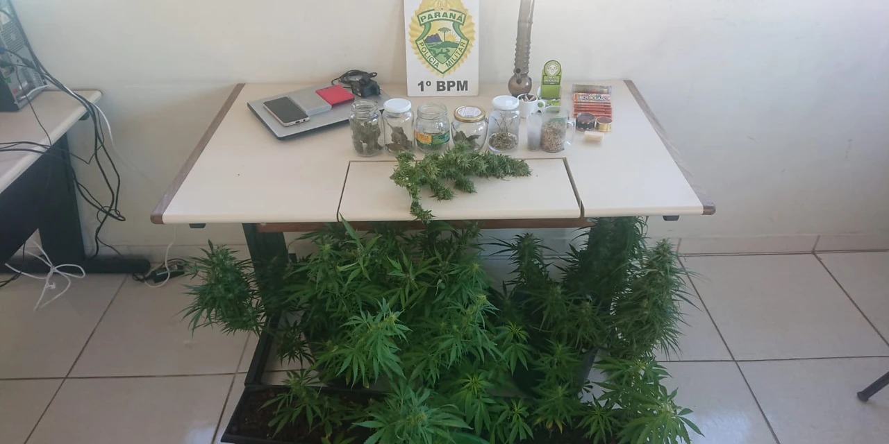 Homem é preso após polícia descobrir estufa de maconha em residência de PG