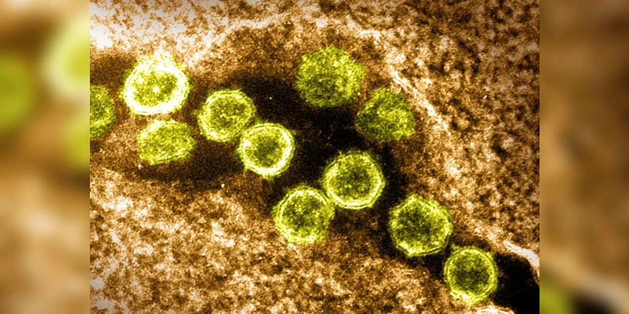 Fiocruz alerta para crescimento de novas variantes do vírus da COVID-19