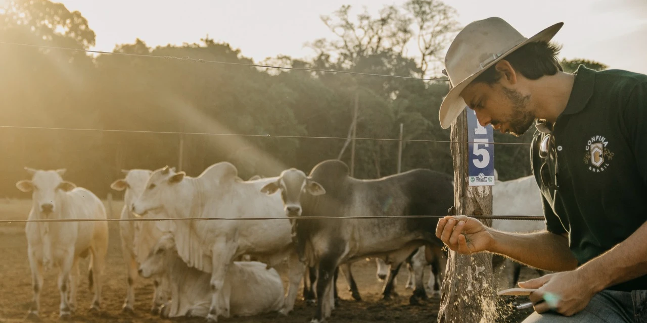 Agro&Negócio: Raio-X da criação bovina brasileira - Onde e como está o gado de corte? por Ricardo Weg