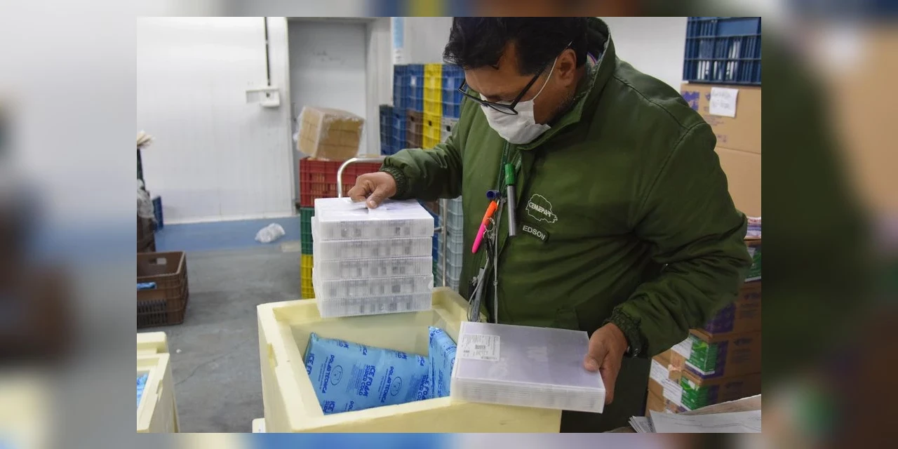 Regional de Saúde de PG recebe 2,7 mil doses de vacinas contra COVID-19