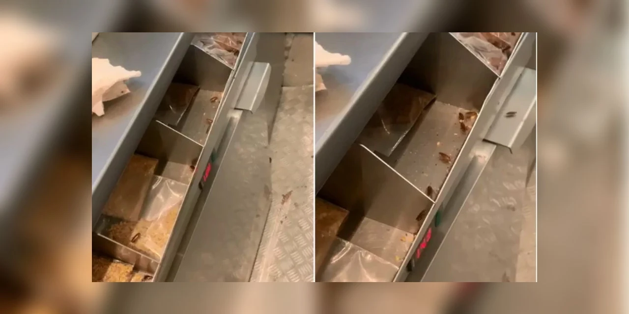 Vídeo: Quiosque de sorvetes de rede de fast food é flagrado repleto de baratas em shopping