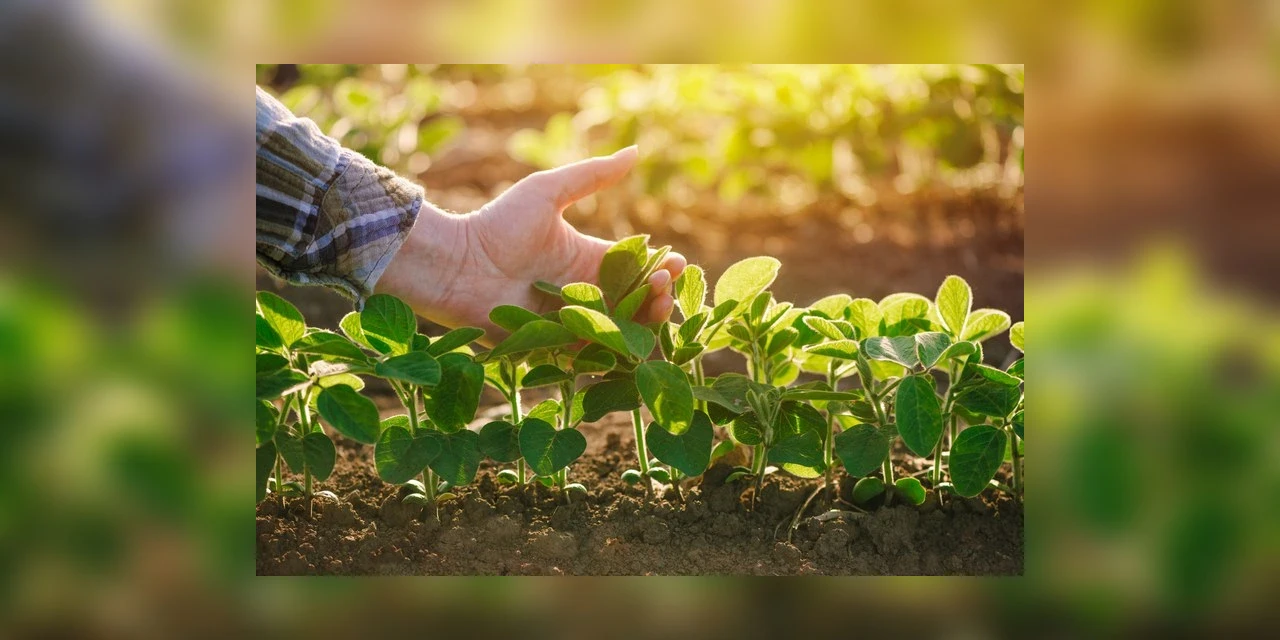 Indenizações pagas pelas seguradoras aos produtores que contrataram seguro rural chegam a R$ 1,7 bilhão no primeiro semestre de 2021