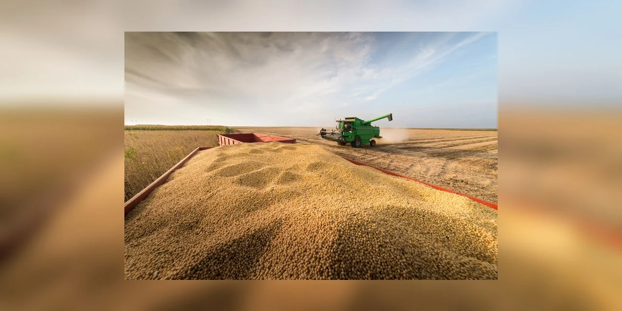 Conab estima produção total de 289,6 milhões de toneladas de grãos para safra 2021/22