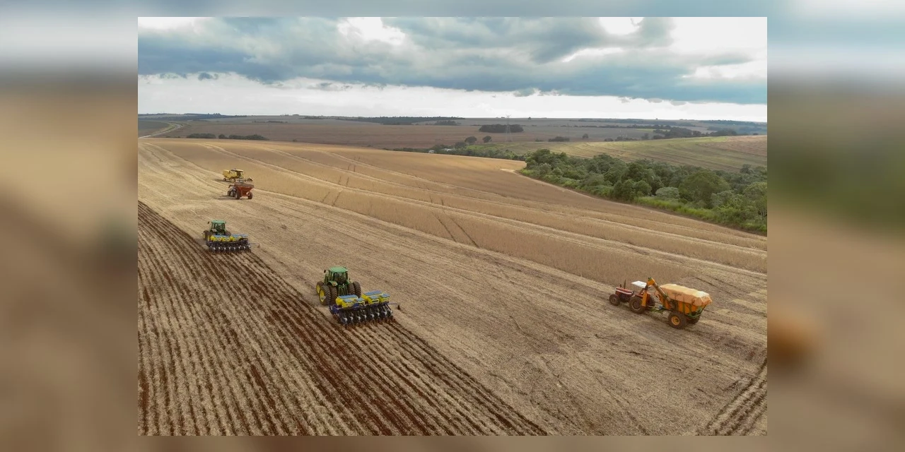 Deral projeta crescimento de 9% na safra de grãos de verão 2021/2022 no Paraná