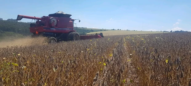 Safra: Entenda a importância de escolher cultivares de soja com tolerância ao estresse hídrico