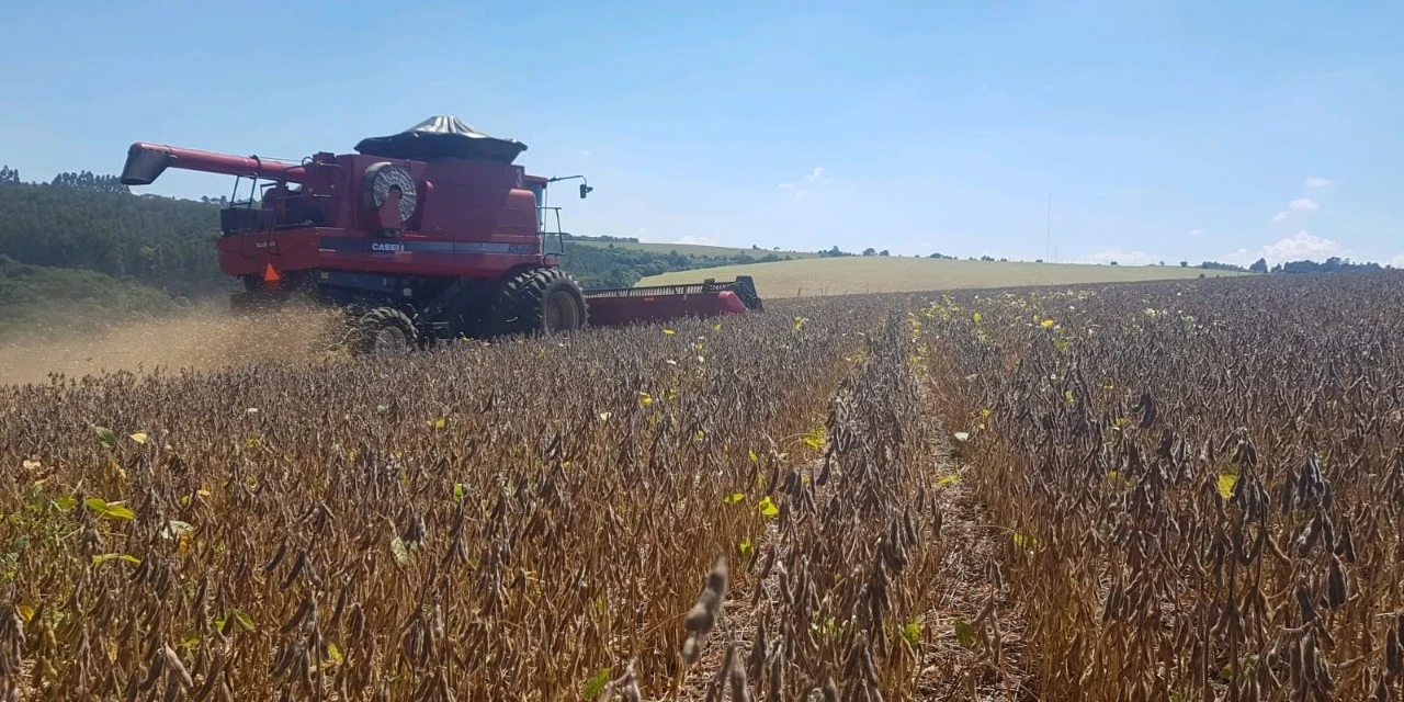Safra: Entenda a importância de escolher cultivares de soja com tolerância ao estresse hídrico