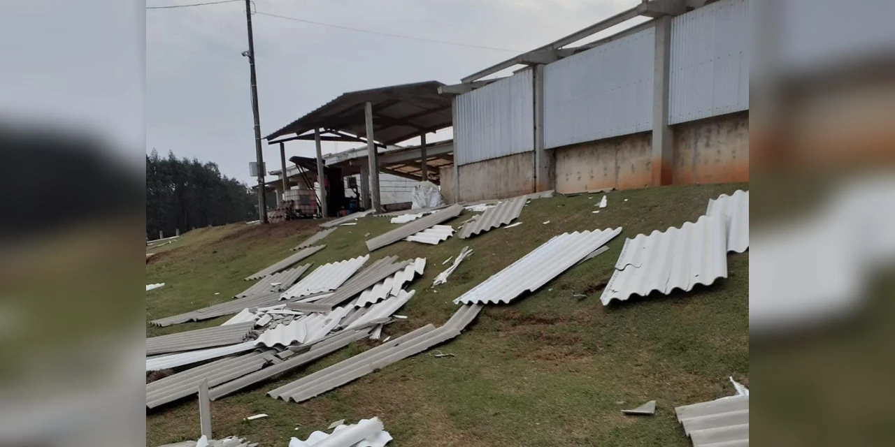 Fotos: Vendaval atinge Carambeí e deixa estragos na zona rural 