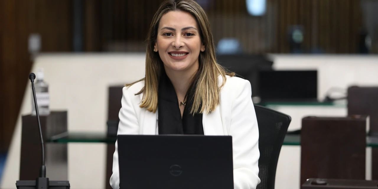 Deputada Mabel Canto quer ampliação ao atendimento à mulher vítima de violência obstétrica no PR