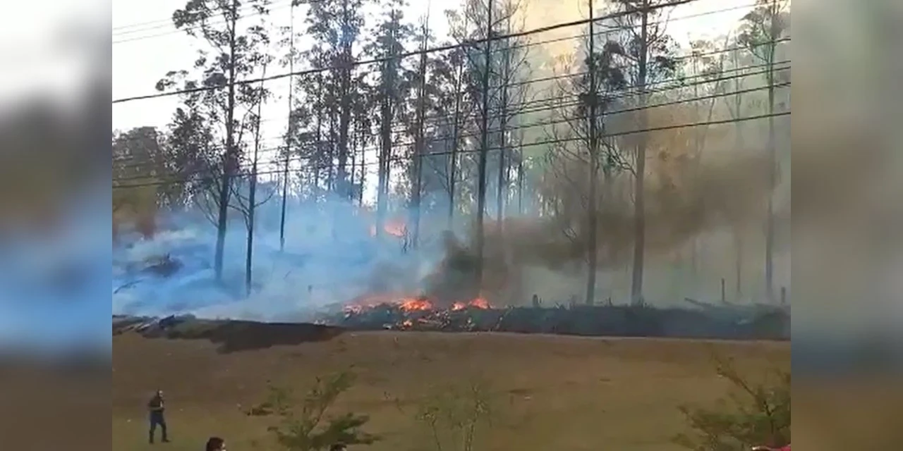 Vídeo: Avião cai em região de mata e sete pessoas morrem no interior de SP