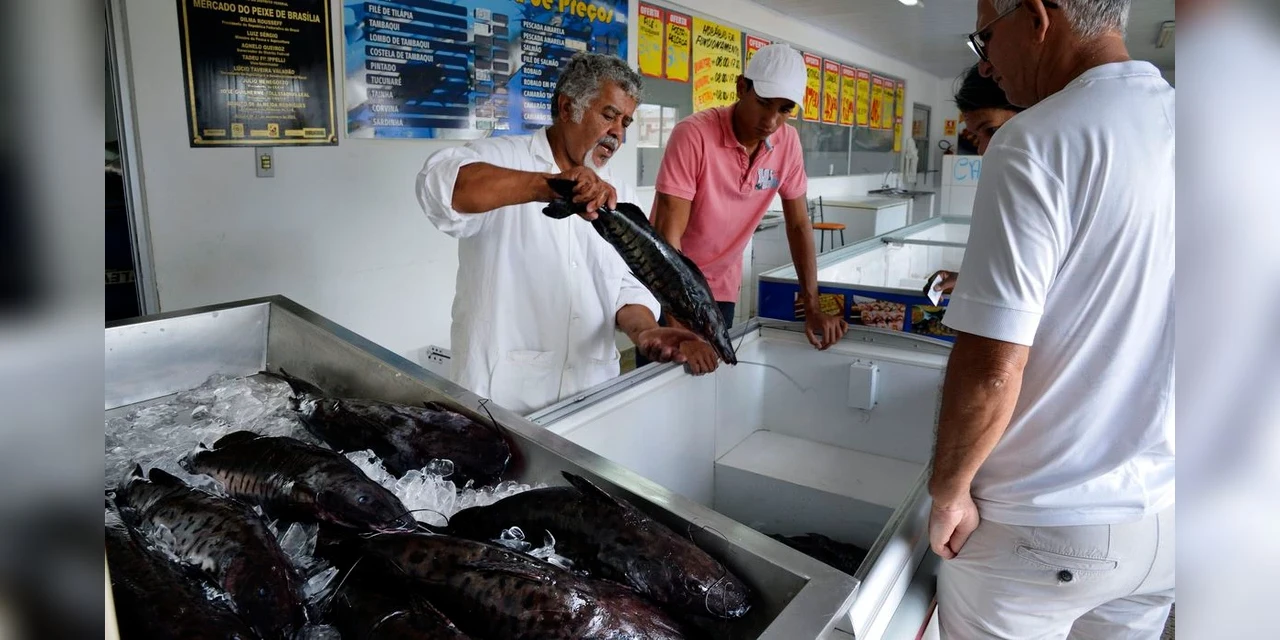 Doença “urina preta” pode estar relacionada a consumo de frutos do mar