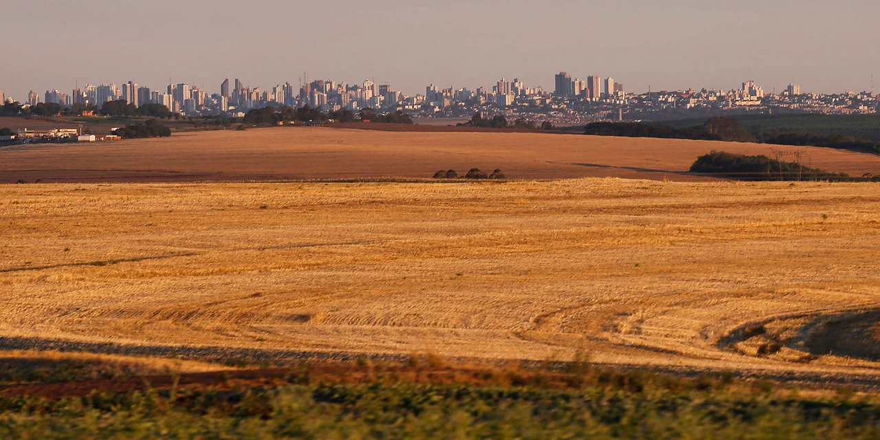 Paraná: 14 municípios ultrapassam R$ 1 bilhão em Valor Bruto da Produção Agropecuária