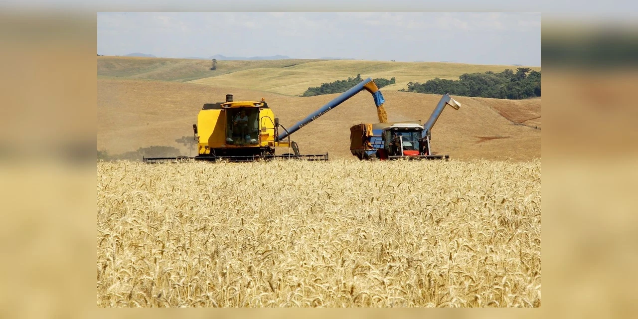 Paraná deve produzir 25,5 milhões de toneladas de grãos na safra de verão