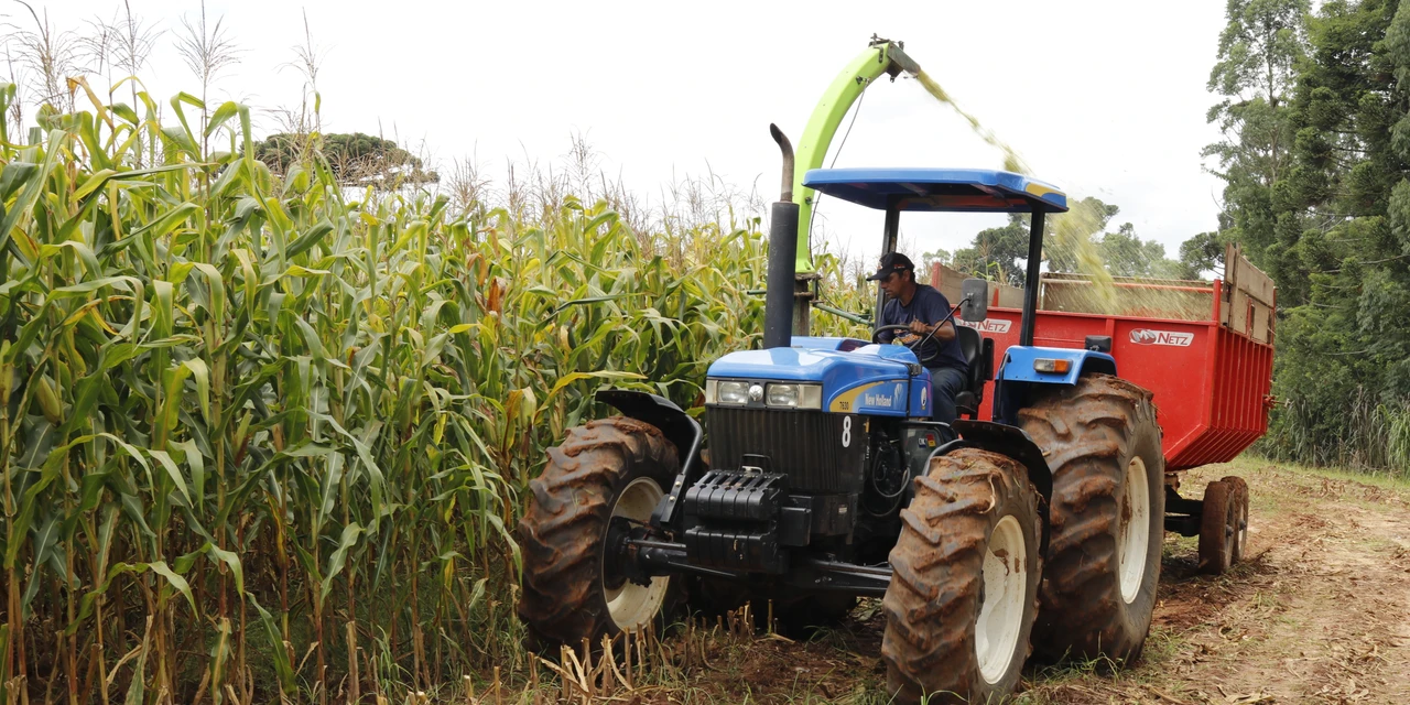 Tibagi atinge R$ 1,26 bilhão em valor bruto de produção agropecuária