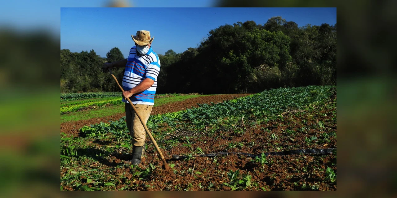 Governo do Paraná investe R$ 5,94 milhões para apoiar projetos de 1.360 famílias rurais