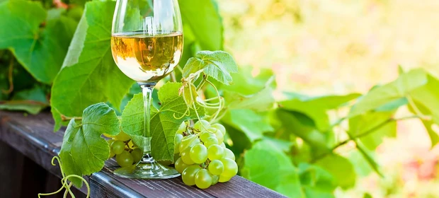 Conheça a coloração dos vinhos e como isso influencia na intensidade de cada um deles