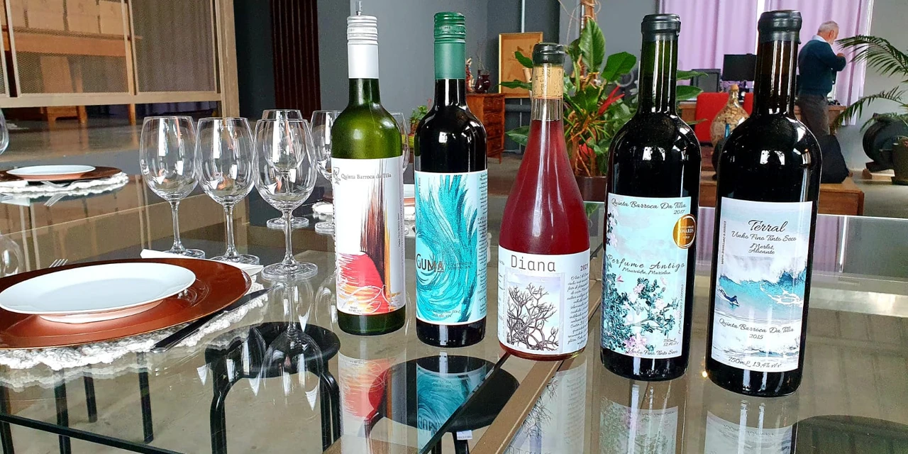 Vinhos & Viagens: Os vinhos autorais da Quinta Barroca da Tília