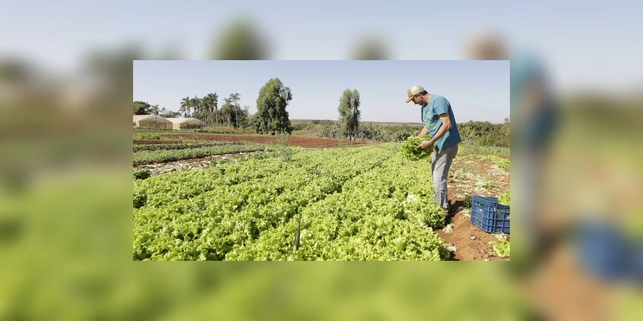 Programa de Aquisição de Alimentos fortalece a agricultura familiar em Ponta Grossa