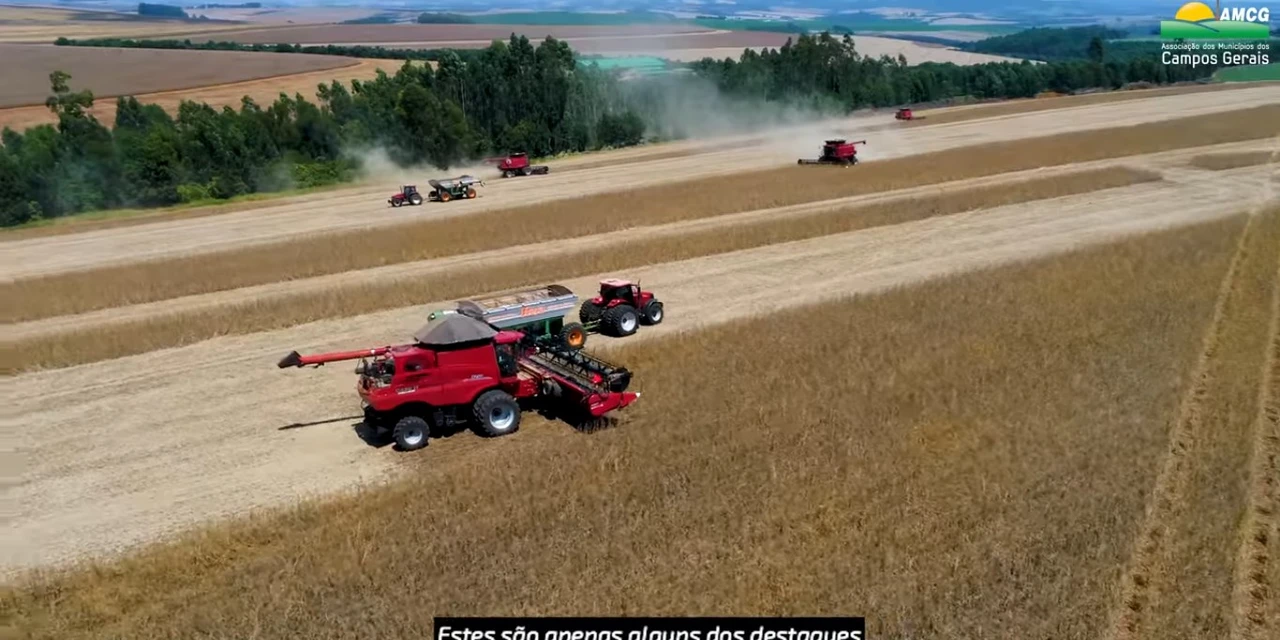 Conheça o vídeo de apresentação da AMCG na Expo Dubai