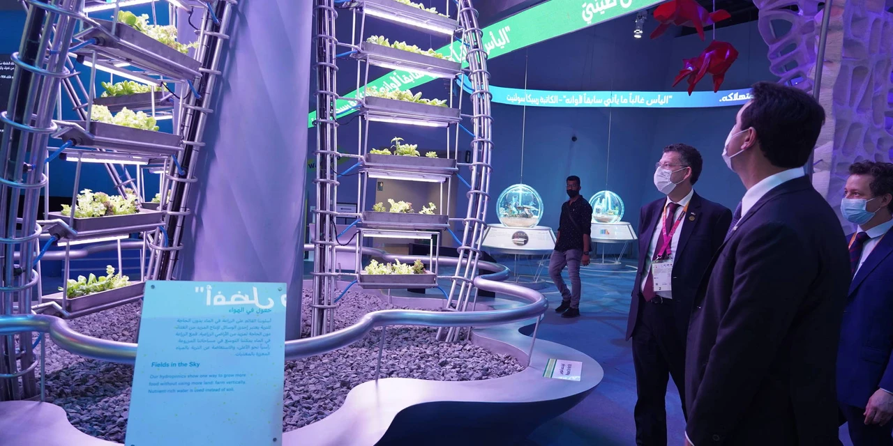 Governador apresenta potenciais do Paraná à Câmara de Comércio e Indústria de Abu Dhabi