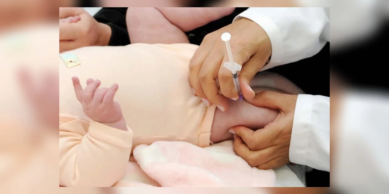 'Dia D' da Multivacinação acontece no sábado (16) em PG; saiba como agendar