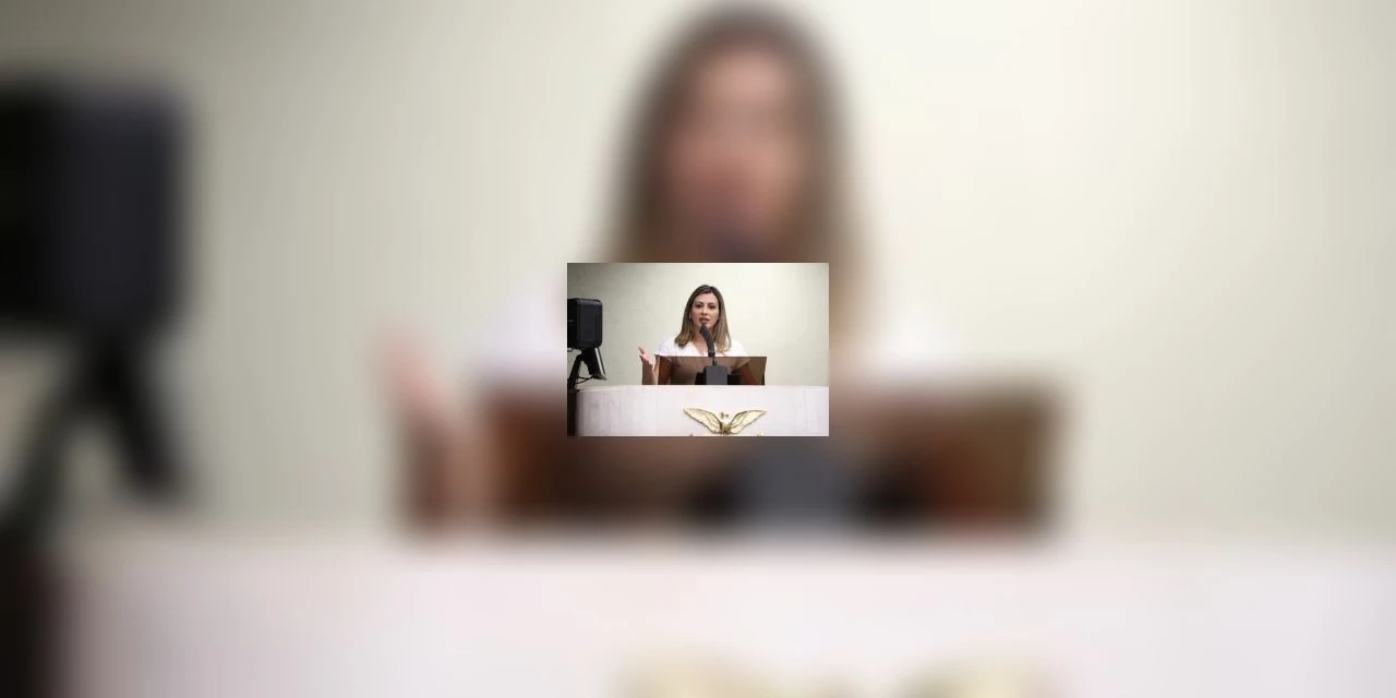 Deputada Mabel Canto questiona atendimento às crianças vítimas de violência sexual em PG