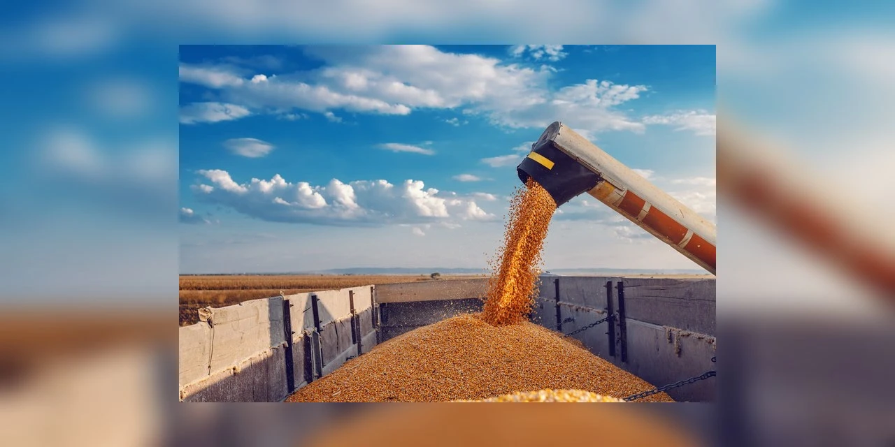 Valor Bruto da Produção Agropecuária de 2021 está estimado em R$ 1,10 trilhão
