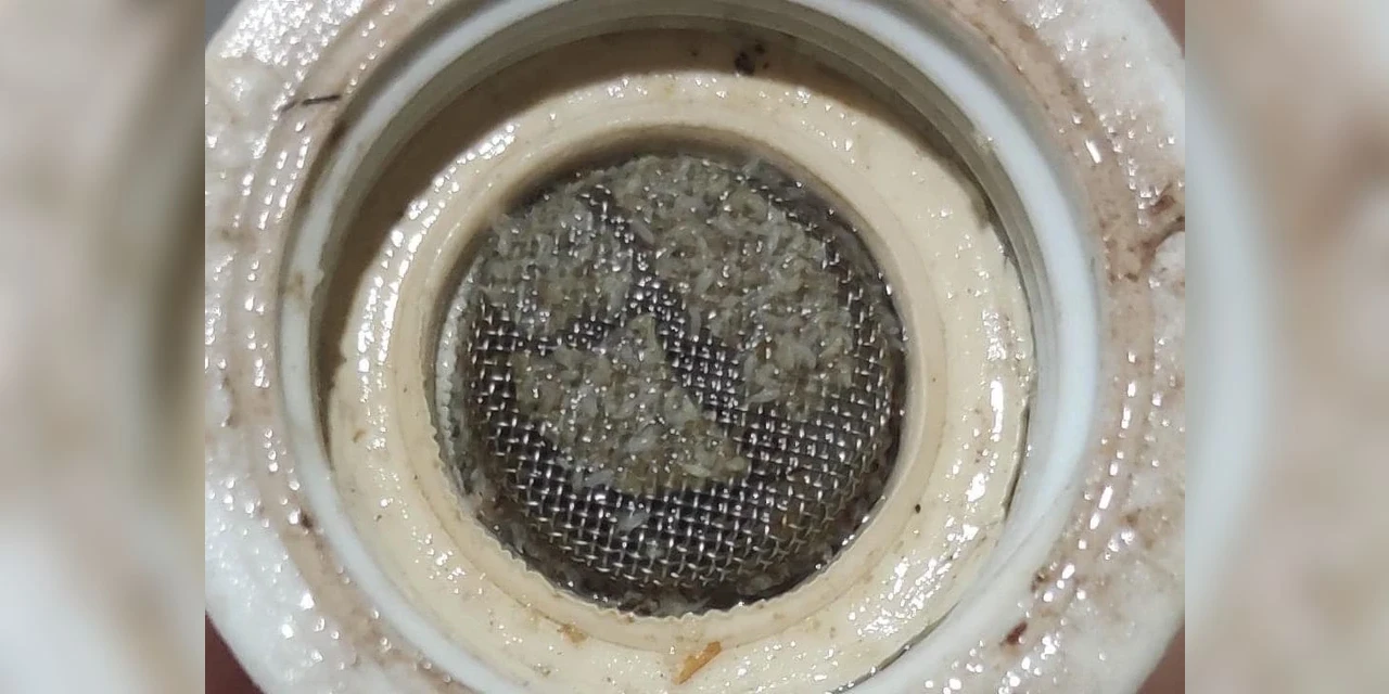 Moradores relatam que estariam recebendo água com larvas em PG