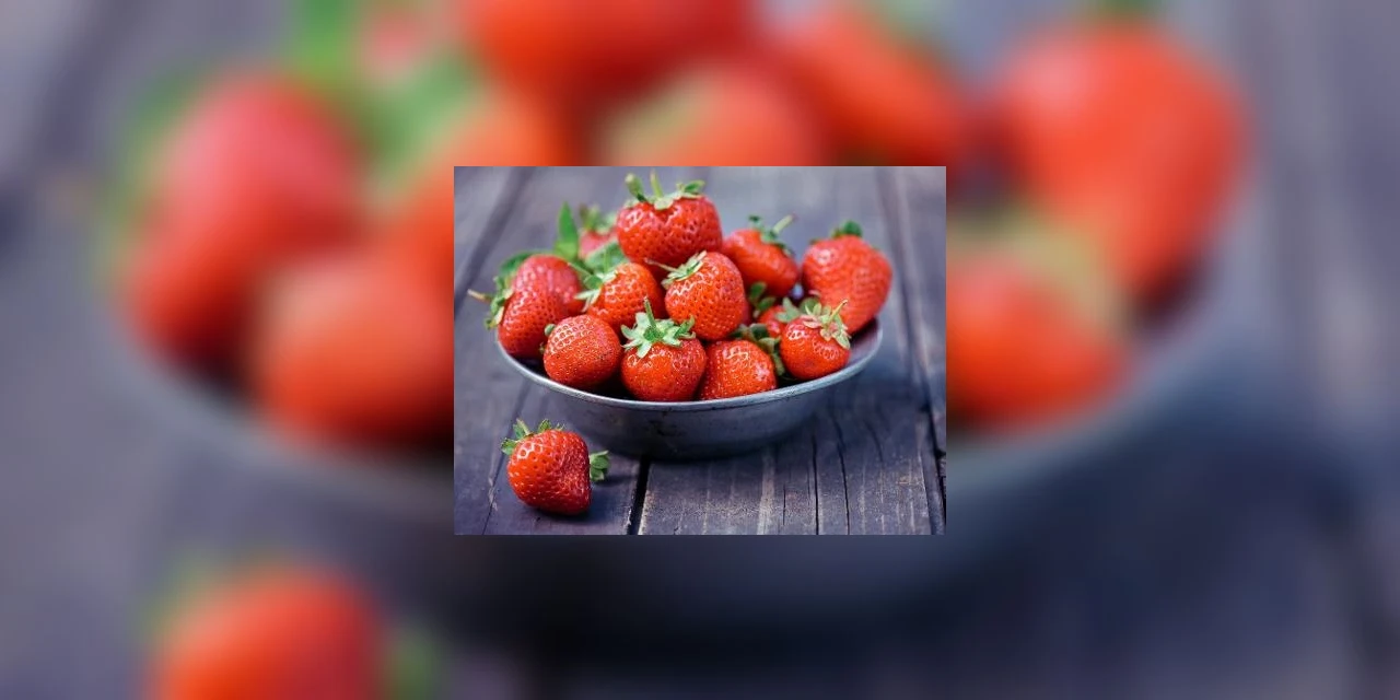 Comer morangos pode ajudar na sua saúde! Conheça os benefícios da fruta!