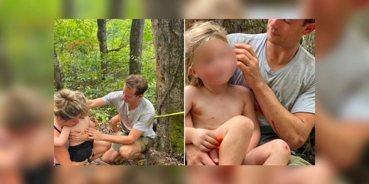 Menino de 4 anos sobrevive à queda de penhasco de 21 metros