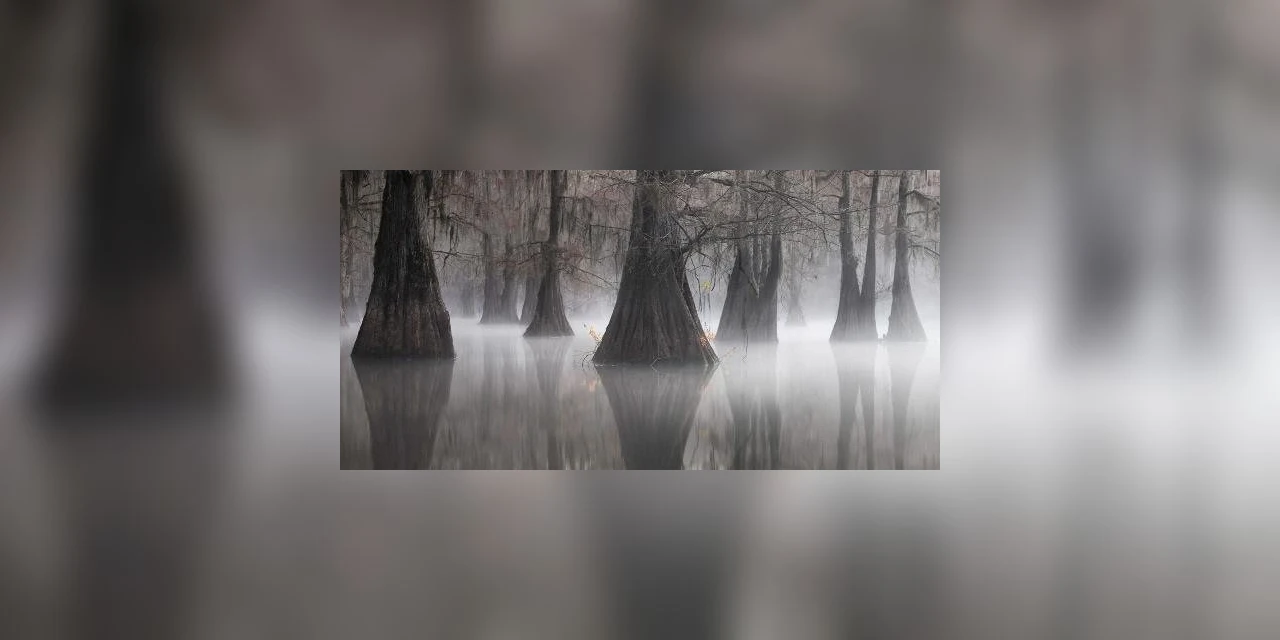 FOTOS: confira as panorâmicas mais incríveis de 2021