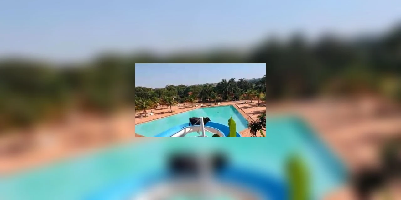 'Que calor!': Vaca é flagrada descendo em toboágua de parque aquático; veja o vídeo